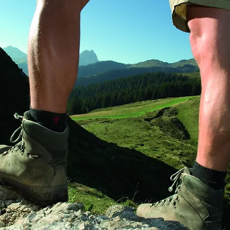 Willms Am Gaisberg 3* Kirchberg in Tirol