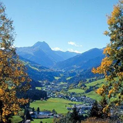 Willms Am Gaisberg