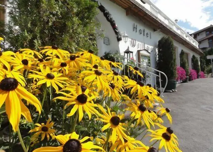 Willms Am Gaisberg Hotel